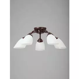 Потолочная люстра Vitaluce V3252/5PL