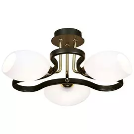 Потолочный светильник 269 269-307-03 Velante