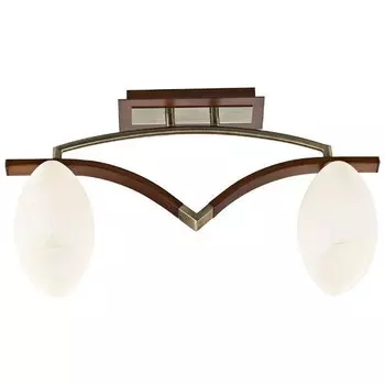 Потолочный светильник 269 269-527-02 Velante