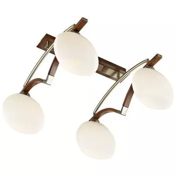 Потолочный светильник 269 269-527-04 Velante