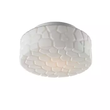 Потолочный светильник Aqua A5320PL-1WH Arte Lamp