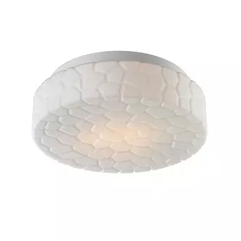 Потолочный светильник Aqua A5330PL-2WH Arte Lamp