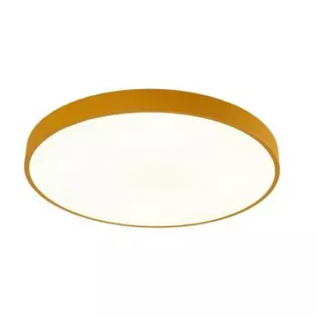 Потолочный светильник Arena A2661PL-1YL Arte Lamp