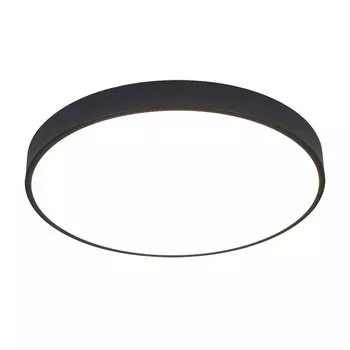 Потолочный светильник Arena A2672PL-1BK Arte Lamp
