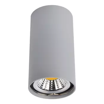 Потолочный светильник Arte Lamp A1516PL-1GY