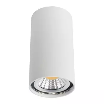 Потолочный светильник Arte Lamp A1516PL-1WH