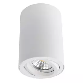 Потолочный светильник Arte Lamp A1560PL-1WH