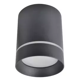 Потолочный светильник Arte Lamp A1909PL-1BK