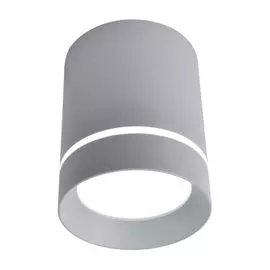 Потолочный светильник Arte Lamp A1909PL-1GY