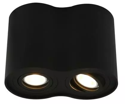 Потолочный светильник Arte Lamp A5644PL-2BK