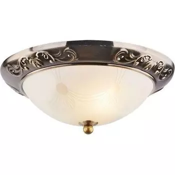 Потолочный светильник Arte Lamp Alta A3014PL-2AB