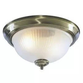 Потолочный светильник Arte Lamp Aqua A9370PL-2AB
