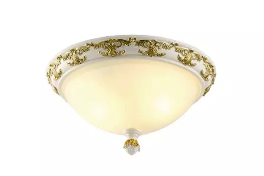 Потолочный светильник Arte Lamp Benessere A9570PL-2WG