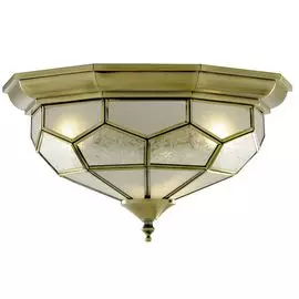Потолочный светильник Arte Lamp Copperland A7833PL-2AB