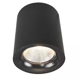 Потолочный светильник Arte Lamp Facile A5118PL-1BK