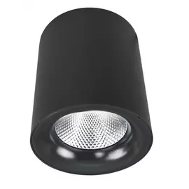 Потолочный светильник Arte Lamp Facile A5130PL-1BK
