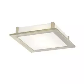 Потолочный светильник Arte Lamp Flushes A6064PL-2AB