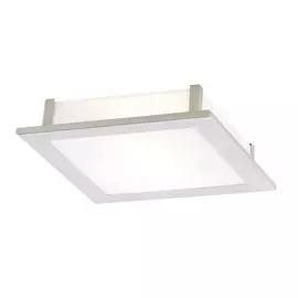 Потолочный светильник Arte Lamp Flushes A6064PL-2SS