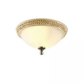 Потолочный светильник Arte Lamp Ivory A9070PL-2AB