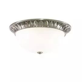 Потолочный светильник Arte Lamp Porch A7838PL-2AB