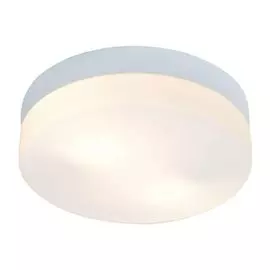 Потолочный светильник Arte Lamp Shirp A3211PL-2WH