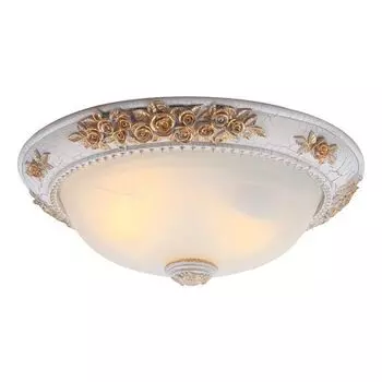 Потолочный светильник Arte Lamp Torta A7102PL-2WG