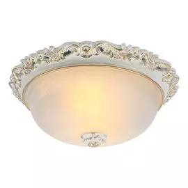 Потолочный светильник Arte Lamp Torta A7151PL-2WG