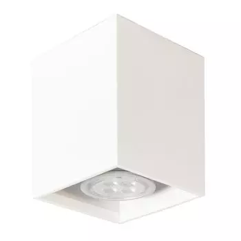 Потолочный светильник АртПром Tubo8 SQ P1 10