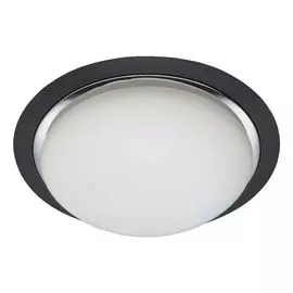 Потолочный светильник Brilliant Magnolia 93852/76