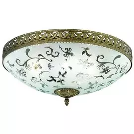 Потолочный светильник Brilliant Rianna 94269/58