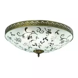 Потолочный светильник Brilliant Rianna 94270/58