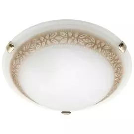 Потолочный светильник Brilliant Toulouse 90166/20