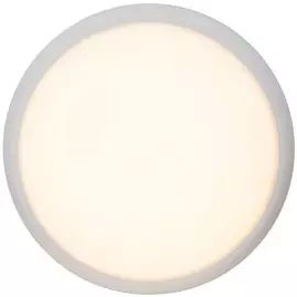 Потолочный светильник Brilliant Vigor G94141/05