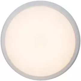 Потолочный светильник Brilliant Vigor G94154/05