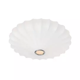 Потолочный светильник Cocoon A6090PL-2WH Arte Lamp