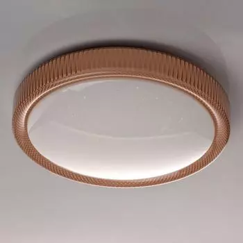 Потолочный светильник De Markt Ривз 5 674014001