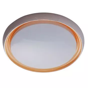 Потолочный светильник De Markt Ривз 674011801