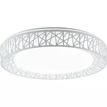 Потолочный светильник Diana TL1204X-72WH TopLight