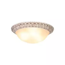 Потолочный светильник Donolux C110008/2