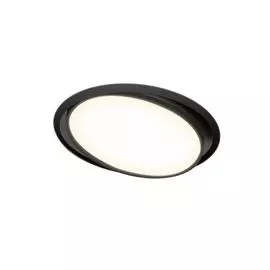 Потолочный светильник Donolux DL18813/23W Black R