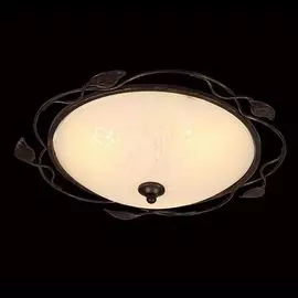 Потолочный светильник Eurosvet 40001/2 венге