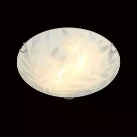 Потолочный светильник Eurosvet 40065/2 хром