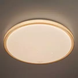 Потолочный светильник Eurosvet Sandy 40015/1 LED кофе