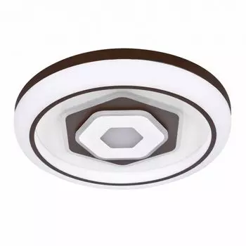 Потолочный светильник F-Promo Lamellar 2456-5C