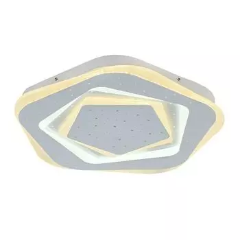 Потолочный светильник F-Promo Ledolution 2281-5C