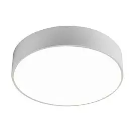 Потолочный светильник Favourite Flashled 2065-24C
