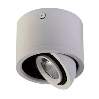 Потолочный светильник Favourite Reflector 1774-1C