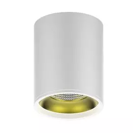 Потолочный светильник Gauss Overhead HD010