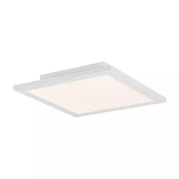 Потолочный светильник Globo Rosi 41604D1D
