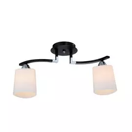 Потолочный светильник IDLamp Helena 860/2PF-Dark